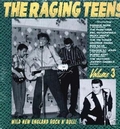 1 x VARIOUS ARTISTS - THE RAGING TEENS VOL. 3