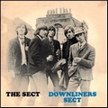 1 x DOWNLINERS SECT - THE SECT