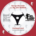 1 x GEORGE ALEXANDER FEAT. BIG JOHN WHITFIELD - PROMISED LAND