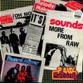 VARIOUS ARTISTS - Oh No It's More From Raw