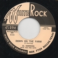 1 x AL DOWNING WITH THE POE KATS - DOWN ON THE FARM