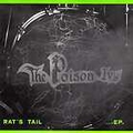 1 x THE POISON IVVY - RAT'S TAIL