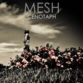 1 x MESH - CENOTAPH