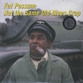 1 x VARIOUS ARTISTS - FAT POSSUM - NOT THE SAME OLD BLUES CRAP