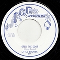 1 x LITTLE BOOKER - OPEN THE DOOR