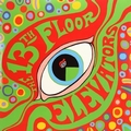 13TH FLOOR ELEVATORS - THE PSYCHEDELIC SOUNDS OF