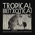 1 x VARIOUS ARTISTS - TROPICAL BRITXOTICA!