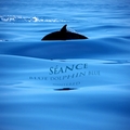 Sance - Blue Dolphin Blue