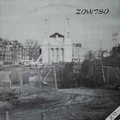 1 x ZOWISO / ZWEMBADEN - SPLIT LP