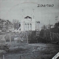 1 x ZOWISO / ZWEMBADEN - SPLIT LP