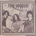 WEEDS - It's Your Time