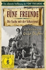 Fnf Freunde - Die Sache mit der Schatzinsel