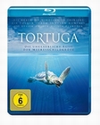 Tortuga - Die ungl. Reise der Meeresschildkr...