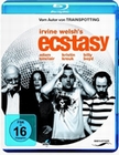 Irvine Welsh`s Ecstasy