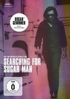 Searching for Sugar Man