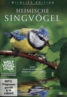 Heimische Singvögel