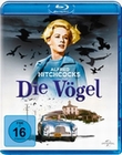Die Vgel - Alfred Hitchcock - 50th Anniversary
