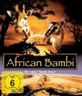 African Bambi