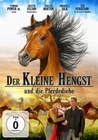 Der kleine Hengst und die Pferdediebe