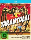 Tarantula