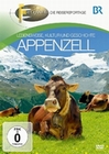 Appenzell - Fernweh