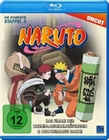 Naruto - Die komplette St. 3 - Uncut