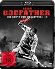 Asian Godfather - Die Gangs von Wasseypur [2BRs]