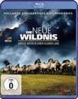 Die neue Wildnis