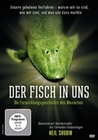 Der Fisch in uns - Die Entwicklungsgeschichte...