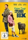 Kleine Ziege, sturer Bock