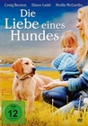 Die Liebe eines Hundes