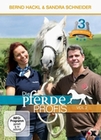 Die Pferdeprofis Vol. 2 [3 DVDs]