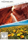 Majestic Nature 2 - Wüsten und Blumen