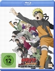 Naruto Shippuden - Die Erben des Willens des ...