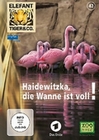 Elefant, Tiger & Co. - Teil 42 - Haidewitzka...