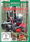 Waldfieber 2 - Zeit für Waldarbeit