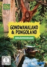 Elefant, Tiger & Co - Gondwanaland & Pogoland