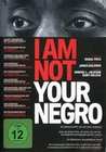 I Am Not Your Negro