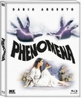 Phenomena [MP]