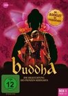 Buddha - Die Erleuchtung des... Box 1 [3 DVDs]