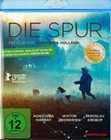 Die Spur