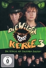 Die wilden Kerle 3