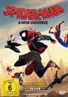 Spider-Man - A New Universe (DVD)
