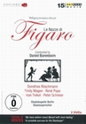 Mozart - Le Nozze di Figaro [2 DVDs]