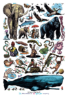 Tiergarten Zoo Poster