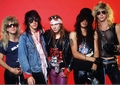 Guns N Roses Poster