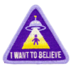 I WANT TO BELIEVE PATCH