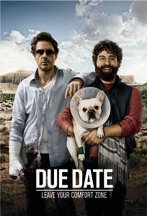Stichtag - Due Date - Poster
