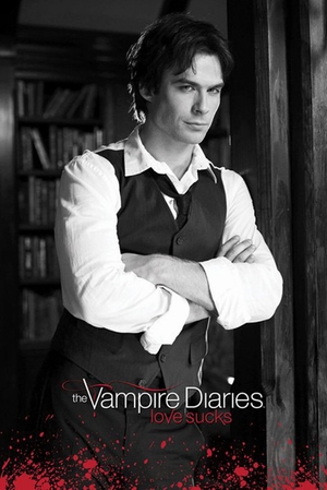 The Vampire Diaries Poster Damon Salvatore Love Sucks