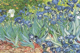 Vincent van Gogh - Les Iris